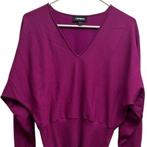 Express Magenta Banded Stretchy Top